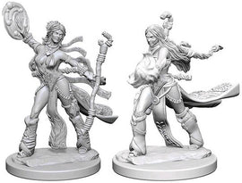 Pathfinder Deep Cuts: Human Female Sorcerer Blister Pack (Wave 1)