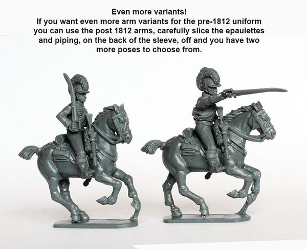 Napoleonic British Light Dragoons 1808-15